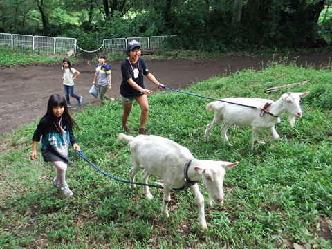 チャレンジ冒険キャンプ4DAYキャンプ